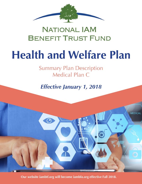 2018 BTF Plan C - Page 1