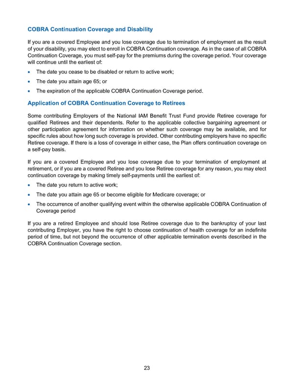 BTF Summary Plan A/A+ - Page 28